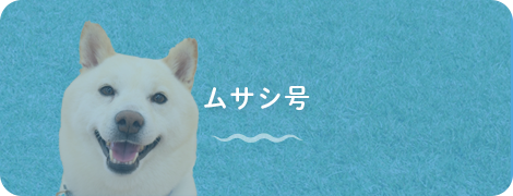 ムサシ号